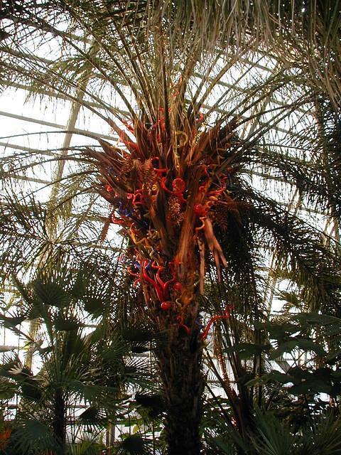 ChihulyGarfieldP1-P1010001