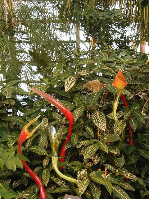 ChihulyGarfieldP1-P1010006