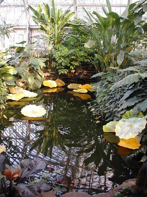 ChihulyGarfieldP1-P1010019