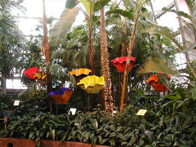 ChihulyGarfieldP1-P1010003