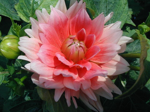 P7120040