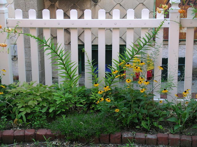 DSCN0400