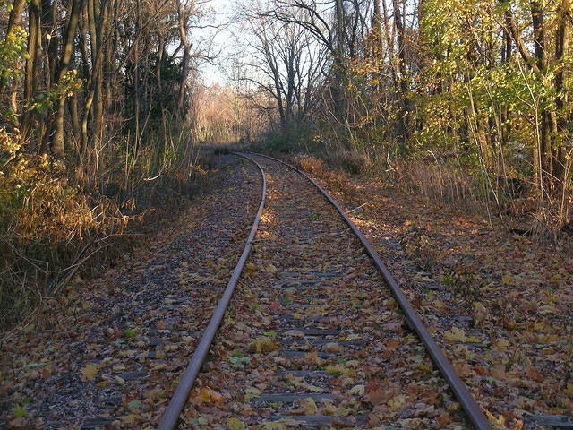 DSCN0829.JPG