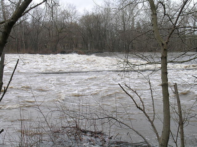 DSCN0336
