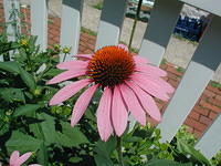 P7120035