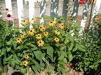 P7250050