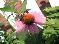 P7250059