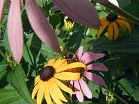 P7250058