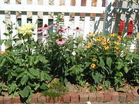 P7250065