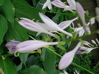 DSCN0394