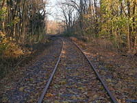 DSCN0829.JPG