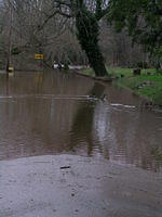 DSCN0342