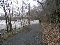 DSCN0335