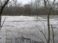 DSCN0336