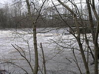DSCN0337