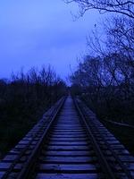 DSCN1529