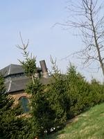 DSCN1492.JPG