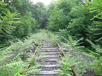 DSCN0946
